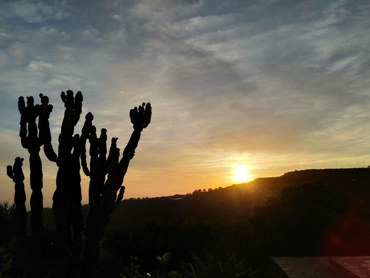 *****Finca Bella Vista Арукас Екстер'єр фото